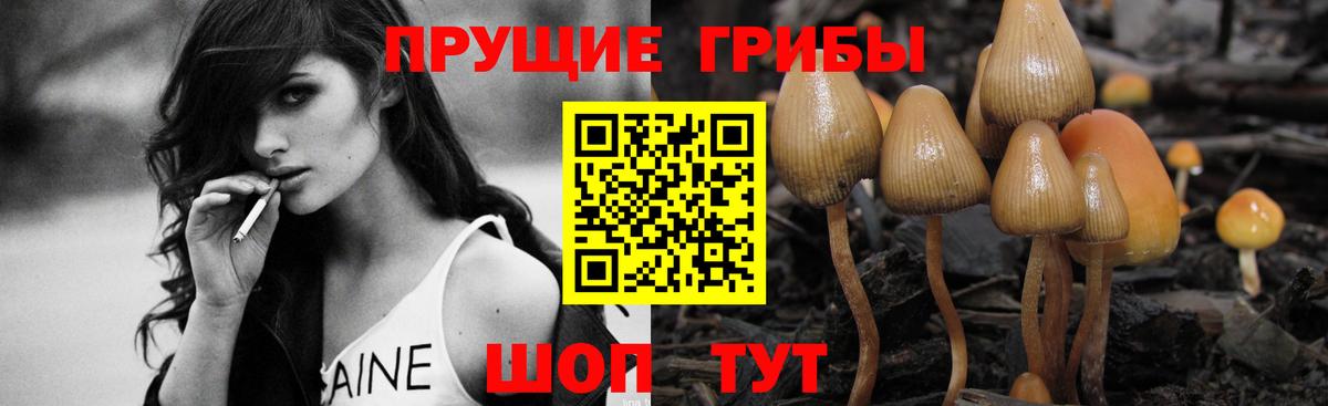Альметьевск  Псилоцибиновые грибы MAGIC MUSHROOMS  Вход с VPN 